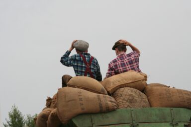 Two men in checked shirts sit on top of sacks loaded on a cart, shading their eyes as they look into the distance
